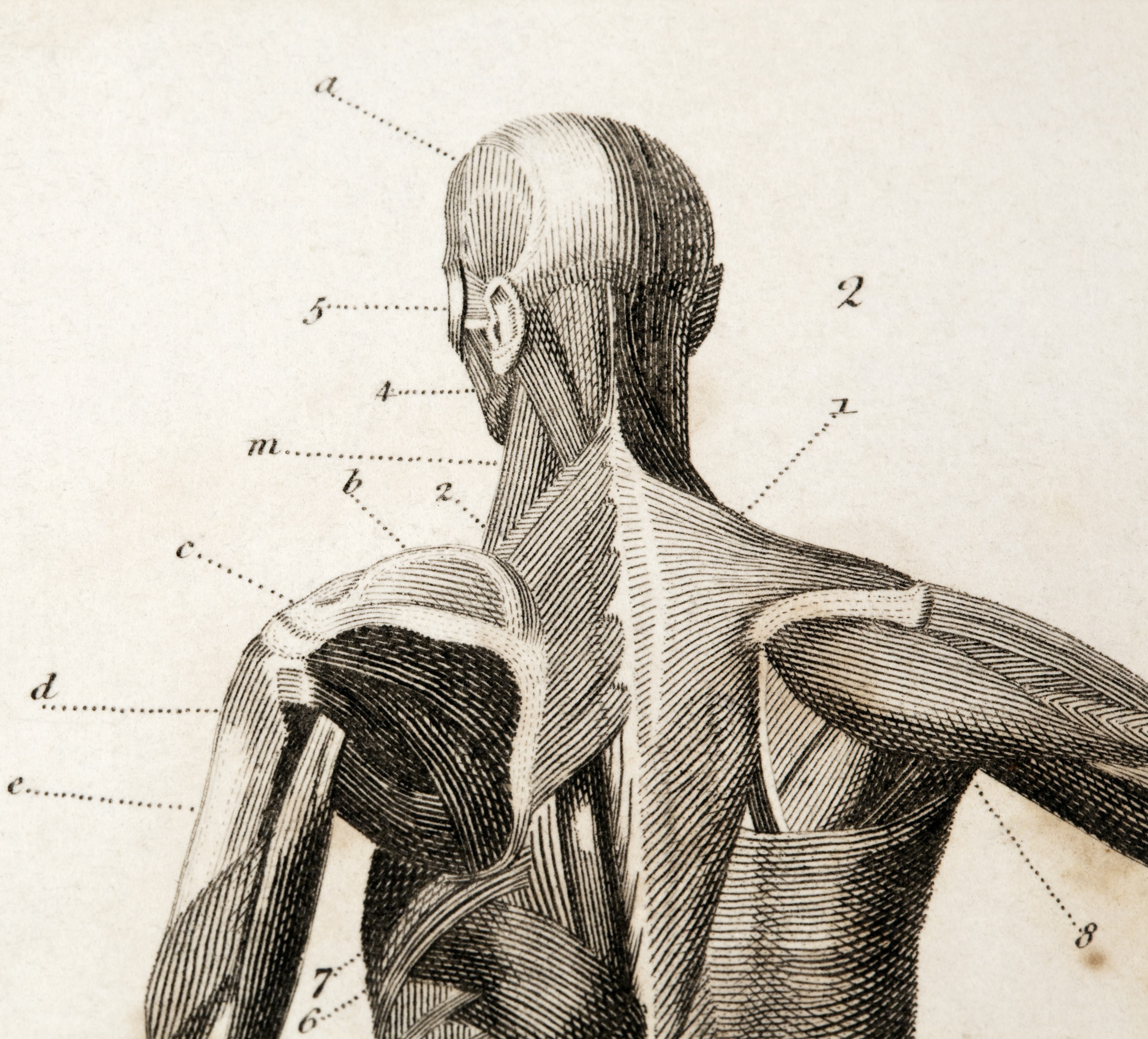 Artistic Therapy Massage